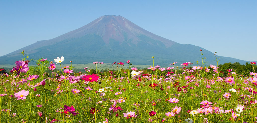 JH—Incontournable-a-visiter-au-Japon